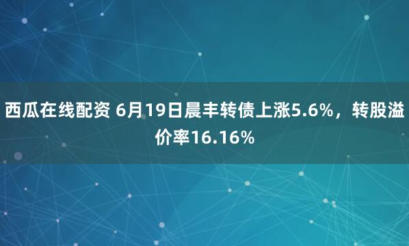 西瓜在线配资 6月19日晨丰转债上涨5.6%，转股溢价率16.16%