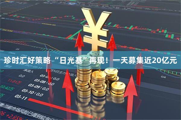 珍时汇好策略 “日光基”再现！一天募集近20亿元