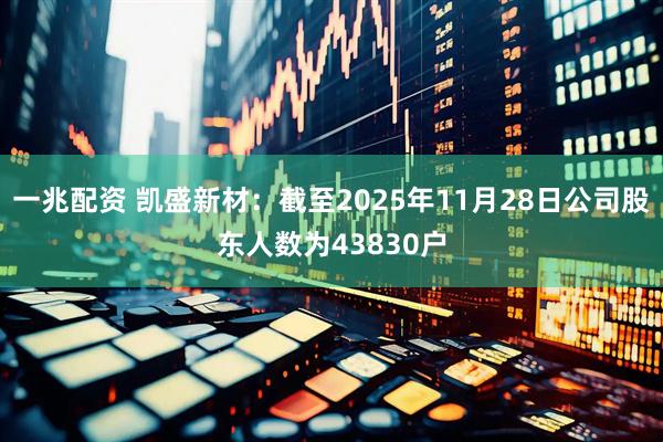 一兆配资 凯盛新材：截至2025年11月28日公司股东人数为43830户